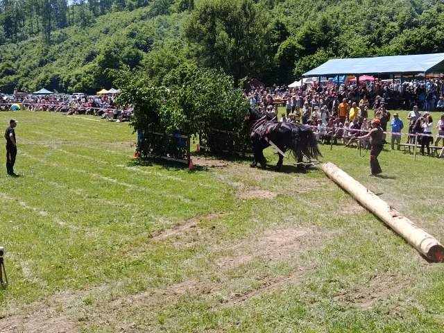 IMG_20260523_124052